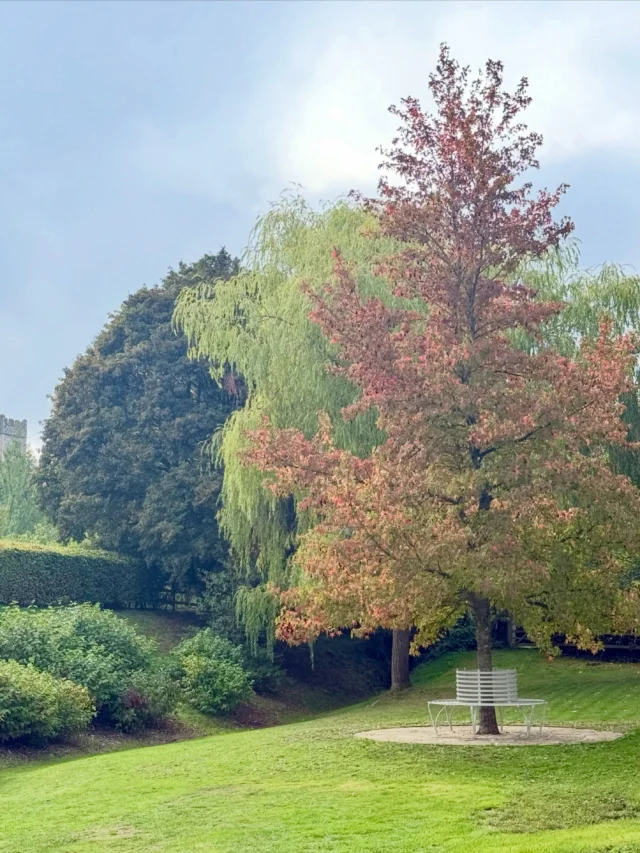Dawn journeys this morning, we headed eastwards towards Cambridge to assemble our recent tree seat project.  Great to see this in situ in a stunning garden  by @valentinawyattgardendesign. Not to mention an extremely good flat white and slice of homemade walnut cake from our  client 👌🏼…..we return to Sussex restored. #treeseat #gardenseating #garden #gardendesign #ironwork